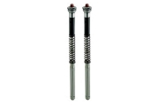 Wilbers Fork Cartridge Kit / Compression & Rebound Rebound Adjustments / R NINE T
